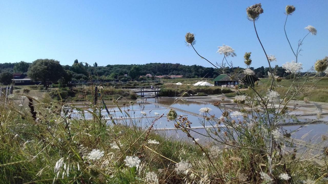 La Chaumette Leilighet Les Sables-dʼOlonne Eksteriør bilde